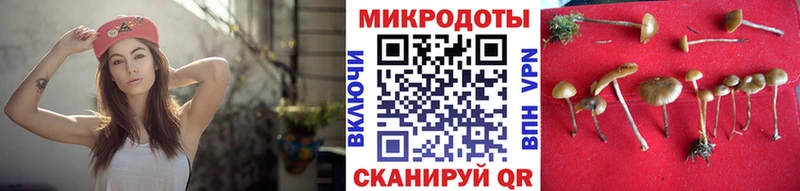 Галлюциногенные грибы мицелий  Бодайбо 