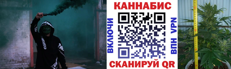 Шишки марихуана Amnesia  даркнет какой сайт  Бодайбо 